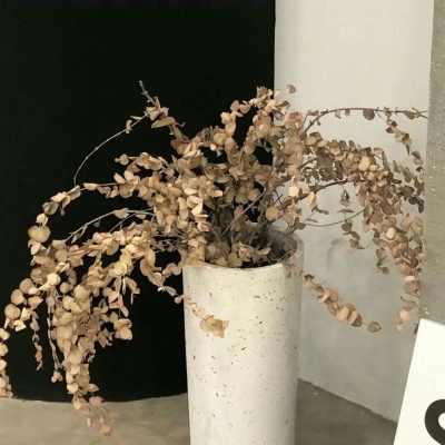 鹰潭福瑞交流群